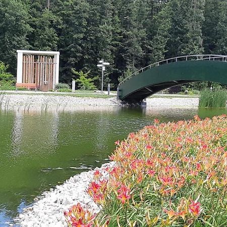 Antal Apartmanok Zalakaros Exteriér fotografie