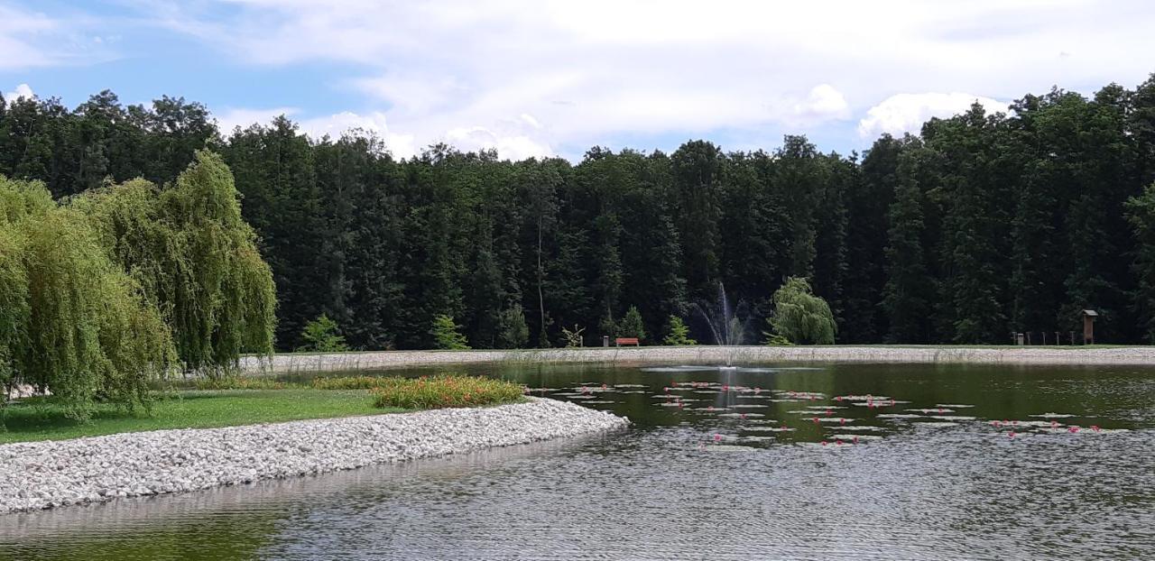 Antal Apartmanok Zalakaros Exteriér fotografie