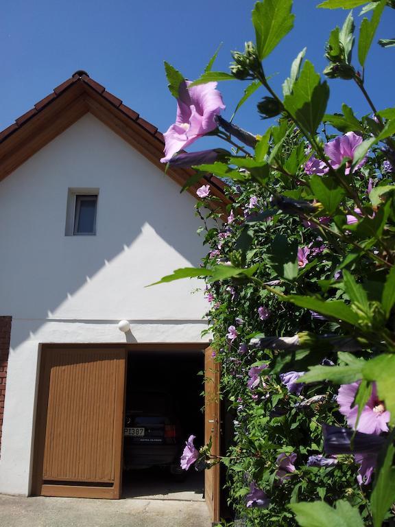 Antal Apartmanok Zalakaros Exteriér fotografie